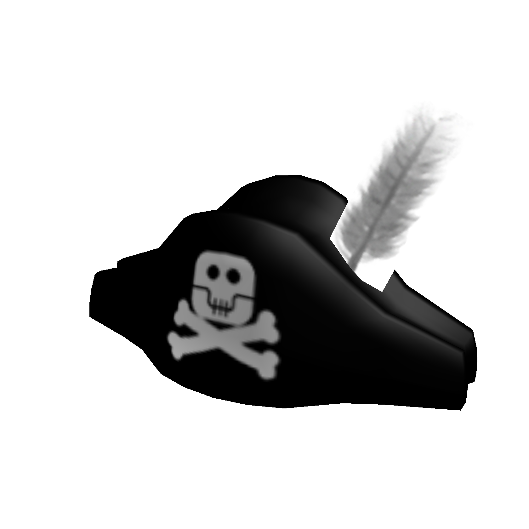 Pirate Captain's Hat