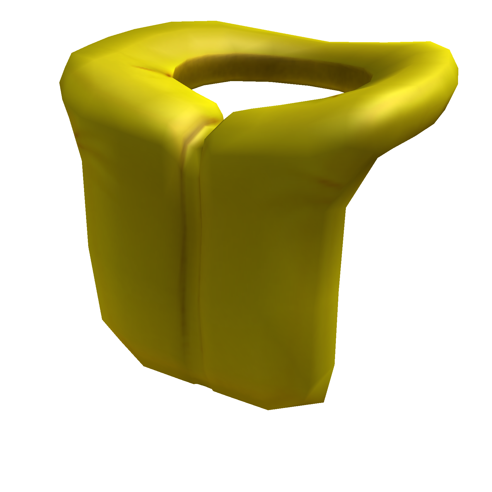 Life Vest
